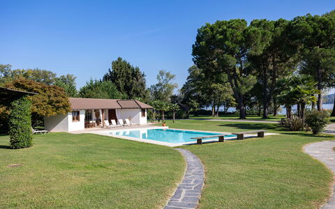 Villa Brin: Piscina, Zona Residenziale, Casa, Casa, Shade, Ricorrere, Agriturismo, Estate, Villetta, Giardino