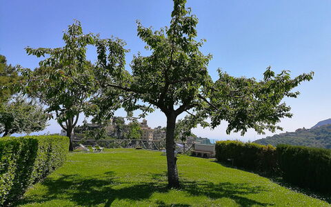 Il Giardino di Ravello: Foglia, Ramo, Albero, Vegetazione, Arbusto, Comunita 'Impianto, Primavera, Tronco, Giardino, Woody Impianto