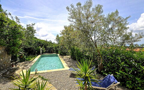 Villa del Mare: Blu, Arbusto, Giardino, Landscaping, Backyard, Piscina, Shade, Cortile, Giochi D'Acqua, Passerella