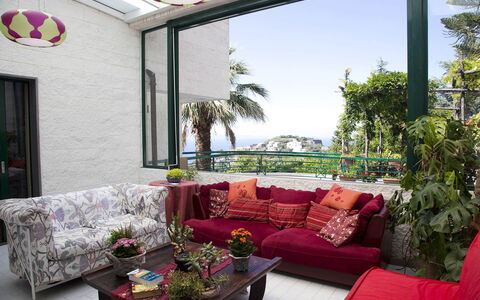 Villa Felicia: Mobilia, Divano, Interior Design, Soggiorno, Tavolo, Casa, Vaso Di Fiori, Lancia Cuscino
