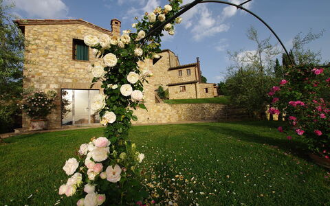Villa Incanto: Fiore, Petalo, Primavera, Giardino, Rose Da Giardino, Rose Di Famiglia, Fiorai, Landscaping, Rosa