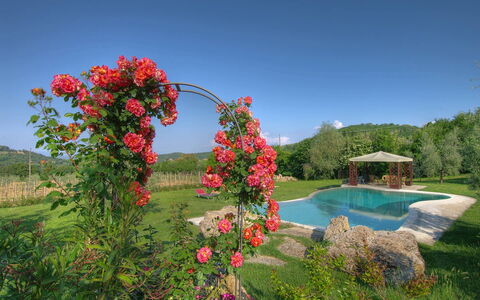 Villa Incanto: Fiore, Arbusto, Giardino, Petalo, Primavera, Pianta Fiorita, Rose Di Famiglia, Rose Da Giardino, Landscaping, Piantagione