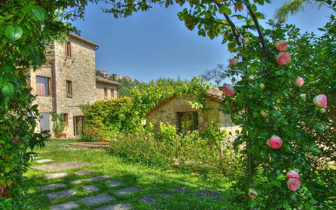 Villa Incanto: Fiore, Arbusto, Giardino, Petalo, Primavera, Landscaping, Pianta Erbacea, Backyard, Cortile, Rose Di Famiglia