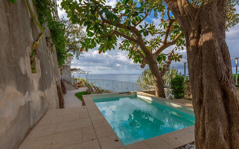 Villa Magnolia: Mare, Piscina, Oceano, Costa, Ricorrere, Tempo Libero, Vacanza, Shade, Tropici, Eco Hotel