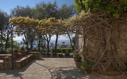 Villa Torre del Sole: Primavera, Vaso Di Fiori, Shade, Giardino, Flagstone, Landscaping, Pianta Della Casa, Passerella
