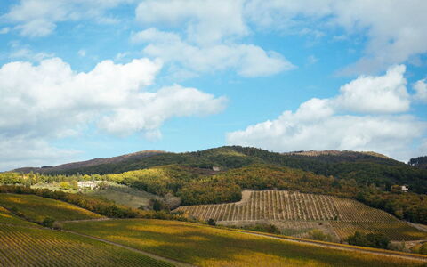 Villa Torre del Chianti: Geografia Montane, Collina, Paesaggio Naturale, Montagna, Highland, Paesaggio, Pascolo, Ecoregione, Area Rurale, Campo