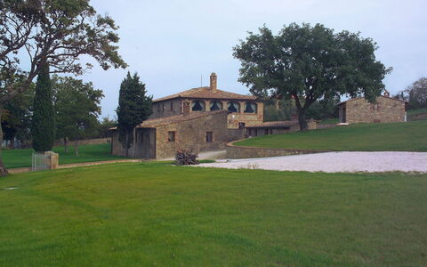Villa Montichiello: Erba, Pascolo, Plain, Paesaggio, Lotto, Area Rurale, Prato, Estate, Prato