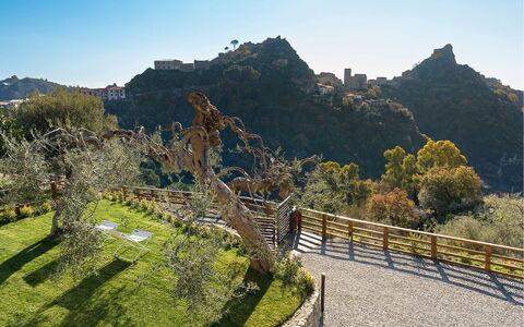 Villa Zafferano: Paesaggio, Pendenza, Recinzione, Chaparral