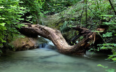 Borgo di San Biagio: Risorse Idriche, Acqua, Corpo D'Acqua, Natura, Alveo, Verde, Ambiente Naturale, Stream, Vegetazione, Ramo