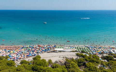 Azzurra: Blu, Corpo D'Acqua, Spiaggia, Mare, Costa, Costiera E Morfologie Oceanic, Estate, Ricreazione, Oceano, Riva
