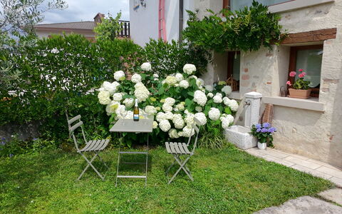 La Casetta dei Palù, Valdobbiadene: Fiore, Arbusto, Giardino, Primavera, Pianta Fiorita, Backyard, Landscaping, Vaso Di Fiori, Cortile, Prato
