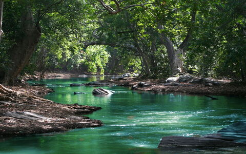 La Casetta dei Palù, Valdobbiadene: Risorse Idriche, Acqua, Corpo D'Acqua, Albero, Natura, Ambiente Naturale, Alveo, Ramo, Vegetazione, Paesaggio Naturale