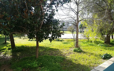 Noemi'S House in Otranto: Foglia, Ramo, Arbusto, Giardino, Tronco, Woody Impianto, Prato, Shade, Landscaping, Cortile