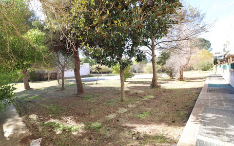 Noemi'S House in Otranto: Foglia, Ramo, Tronco, Woody Impianto, Shade, Giardino, Suolo, Landscaping, Cortile, Passerella