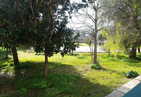 Noemi'S House in Otranto: Foglia, Ramo, Arbusto, Giardino, Tronco, Woody Impianto, Prato, Shade, Landscaping, Cortile