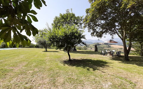 Villa Felice, Private Pool and Hills: Albero, Erba, Ramo, Plain, Paesaggio, Pascolo, Lotto, Luce Del Sole, Prato, Prato