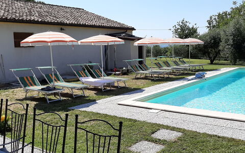 Villa Felice, Private Pool and Hills: Piscina, Mobili Da Esterno, Mobilia, Ricorrere, Casa, Zona Residenziale, Backyard, Sedia, Hacienda, Estate