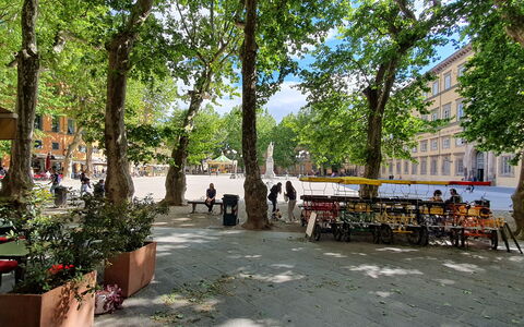 Casa Elena 13: Albero, Manto Stradale, Spazio Pubblico, Quartiere, Strada, Shade, La Piazza Cittadina, Plaza, Mobili Da Esterno, Parcheggio