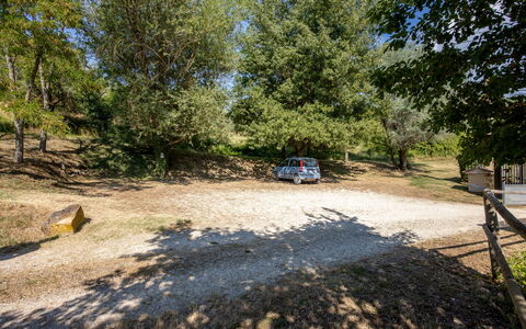Il Giuncheto, Pool, Amazing View, Umbrian Countrys: Albero, Trail, Suolo, Car Famiglia, Parcheggio, Driveway, Shade