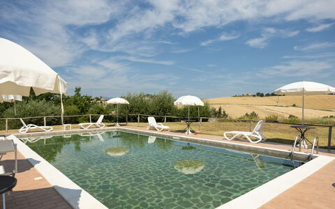 Il Giuncheto Apartments, Pool, Umbrian Countryside: Piscina, Mobili Da Esterno, Sedia, Lettino, Landscaping, Ricorrere, Villa, Ombrello