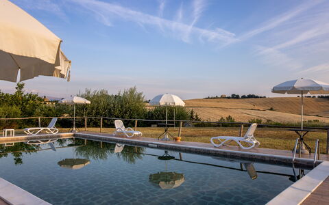 Il Giuncheto Apartments, Pool, Umbrian Countryside: Piscina, Mobili Da Esterno, Lettino, Ombrello