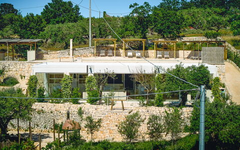 Trullo Emmebi Vista Valle D'Itria: Muro ​​Di Pietra, Shade, Estate, Landscaping, Cortile, Backyard, Villa, Hacienda, Balcone