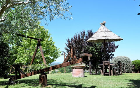 Terre di Giano Private Pool and View, Umbria: Giardino, Tronco, Prato, Parco, Landscaping, Cortile, Backyard
