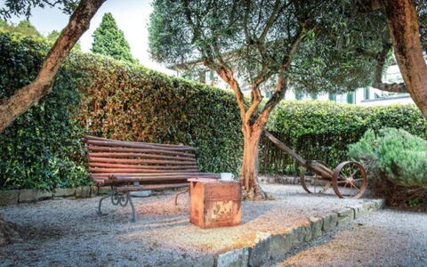 Loft Borgo Syrah: Arbusto, Giardino, Panchina, Primavera, Shade, Mobili Da Esterno, Landscaping, Banco, Hedge, Ombra