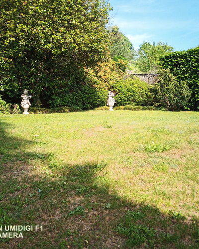 Bellavista Dimora Storica Vista Lago: Erba, Arbusto, Giardino, Lotto, Prato, Backyard, Shade, Cortile, Landscaping