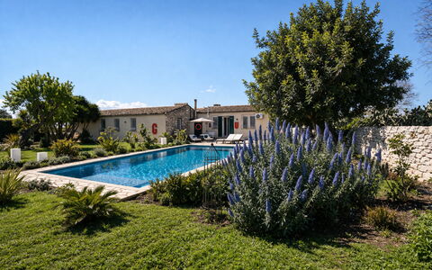 Villa Il Carato, Private Pool, Modica: Giardino, Estate, Landscaping, Villetta, Hacienda, Backyard, Vaso Di Fiori, Cortile, Agriturismo, Piscina