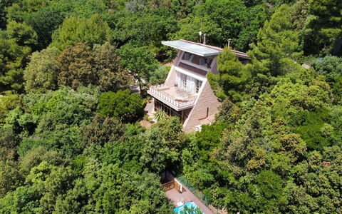 Villa Sole - Exclusive Villa al Conero con Piscina: Vegetazione, Casa, Estate, Villetta, Giungla, Eco Hotel, Villa, Sempreverde, Dimora, Balcone