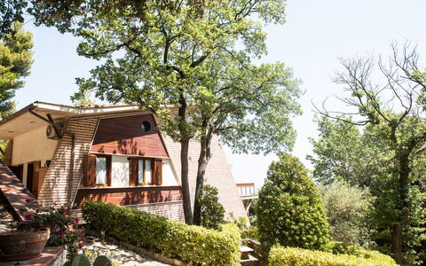 Villa Sole - Exclusive Villa al Conero con Piscina: Foglia, Arbusto, Zona Residenziale, Casa, Villetta, Giardino, Primavera, Estate, Landscaping, Cortile