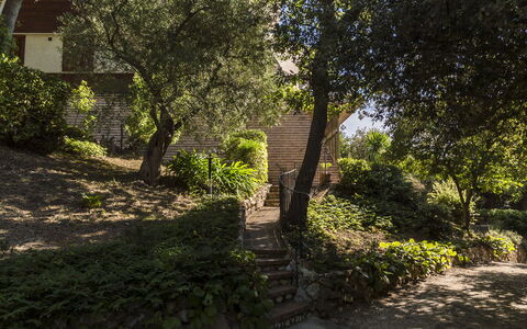 Villa Sole - Exclusive Villa al Conero con Piscina: Foglia, Ramo, Natura, Vegetazione, Arbusto, Giardino, Comunita 'Impianto, Paesaggio, Ramoscello