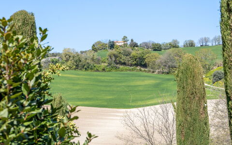 Serafini Holiday Home: Verde, Arbusto, Pascolo, Paesaggio, Lotto, Plain, Giardino, Prato, Prato, Pascolo