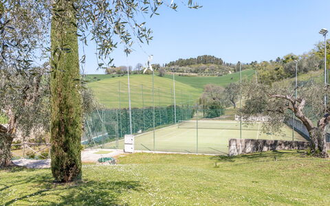 Serafini Holiday Home: Albero, Lotto, Campo Da Tennis, Prato, Giardino, Shade, Landscaping, Parco, Recinzione