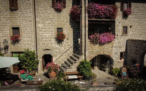 Agriturismo Arcera: Vaso Di Fiori, Pianta Della Casa, Fiorai, Giardino, Cortile, Cortile, Disegno Floreale, Hacienda