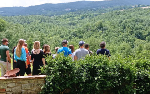 Villa Campo al Vento - Country Farm: Ambiente Naturale, Natura, Foglia, Estate, Ricreazione, Collina, Paesaggio, Tempo Libero, Comunita 'Impianto, Primavera
