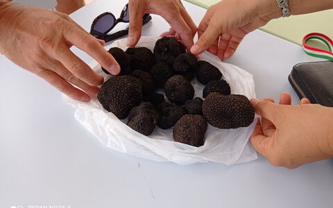 Villa Campo al Vento - Country Farm: Ingrediente, Cibo, Fungo
