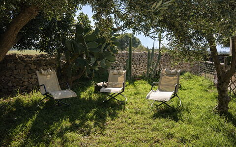 Ranch Salomonello: Mobilia, Mobili Da Esterno, Sedia, Sedia Pieghevole, Shade, Giardino, Lettino, Backyard, Cortile, Prato