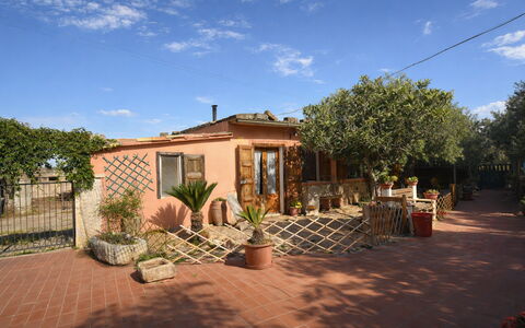 Ranch Salomonello: Vaso Di Fiori, Arbusto, Porta, Pianta Della Casa, Hacienda, Shade, Cortile, Landscaping, Backyard
