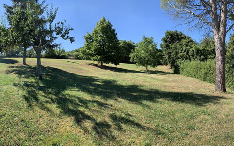 Casa Chimera: Albero, Erba, Ambiente Naturale, Ramo, Pascolo, Plain, Lotto, Pascolo, Tronco