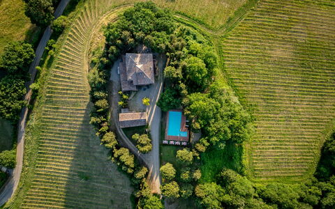 Maison Badia a Passignano: Piantagione, Eco Hotel, Giardino, Estate, Agricoltura, Landscaping, Visione Globale, Backyard, Villa