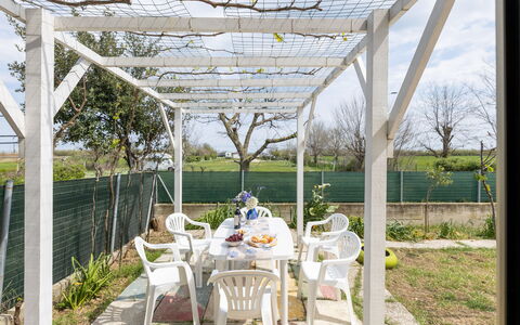 Casa di Lilia: Shade, Giardino, Struttura Esterna, Pergola, Landscaping, Backyard, Cortile, Baldacchino, Illuminazione Diurna, Edifici Giardino