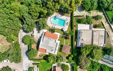 Villa Margherita: Piscina, Albero, Zona Residenziale, Visione Globale, Paesaggio, Fotografia Aerea, Casa, Casa, Estate, Urban Design