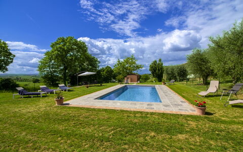 Gli Ulivi: Giardino, Piscina, Estate, Prato, Landscaping, Shade, Agriturismo, Cortile, Parco, Hacienda