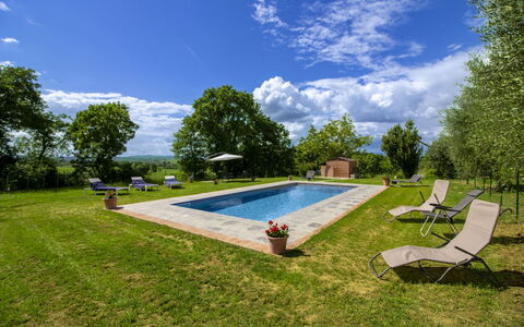 Gli Ulivi: Giardino, Prato, Piscina, Landscaping, Estate, Parco, Cortile, Backyard, Agriturismo, Hacienda