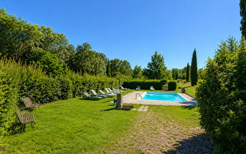 Civico108 Vacation Home, Pool, Castellina in Chian: Arbusto, Piscina, Giardino, Prato, Groundcover, Landscaping, Hedge, Mobili Da Esterno, Shade, Estate