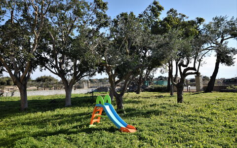 Villa Andrea: Foglia, Ramo, Vegetazione, Tronco, Shade, Groundcover, Primavera, Giardino, Woody Impianto, Luce Del Sole