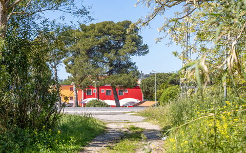 Casale Oleandro Marino: Albero, Rosso, Arbusto, Lotto, Shade, Landscaping, Driveway