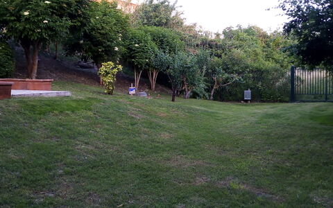 Casale Oleandro Marino: Erba, Foglia, Paesaggio, Giardino, Prato, Lotto, Groundcover, Primavera, Cortile